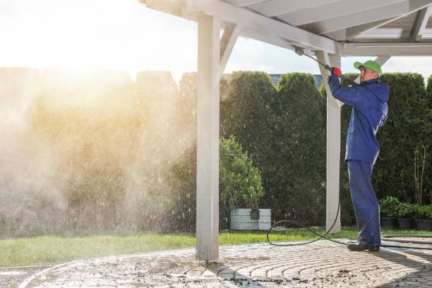 Best Building Exterior Washing  in Ainaloa, HI